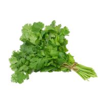 Coriander