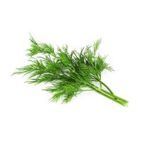 Dill