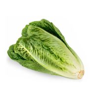 Lettuce Romaina