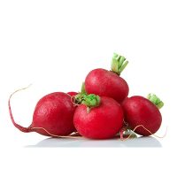 Red Radish