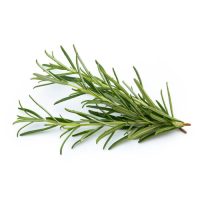 Rosemary