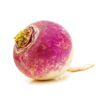 Turnip