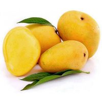 Mango Alphonso