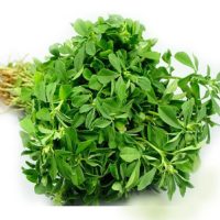 Fenugreek leaves (Methi)