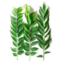 Curry Leaves