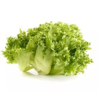 Lollo Bionde Lettuce