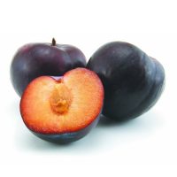 Angelino Plums