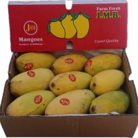 Mango Pakistan