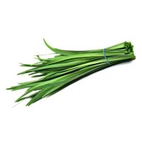 Chives