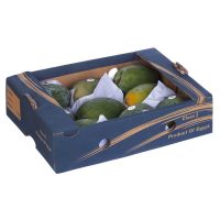 Mango Egypt Box