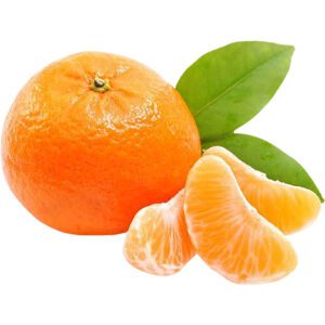 Baby Mandarin
