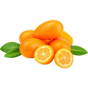 Kumquat SA Box