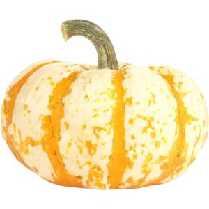L?l Tiger Pumpkin Halloween