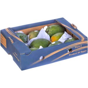 Mango Egypt Box