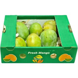 Mango Tommy Box