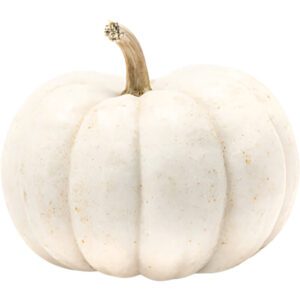 Mini White Pumpkin