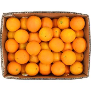 Orange Valencia Box