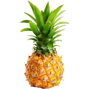 Pineapple Baby