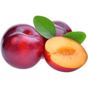 Red Plum