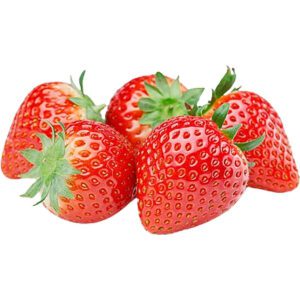 Strawberry Egypt