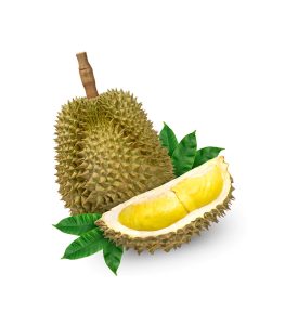 Durian Fruit Whole