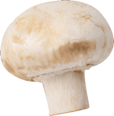 Mushrooms