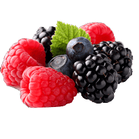 Berries