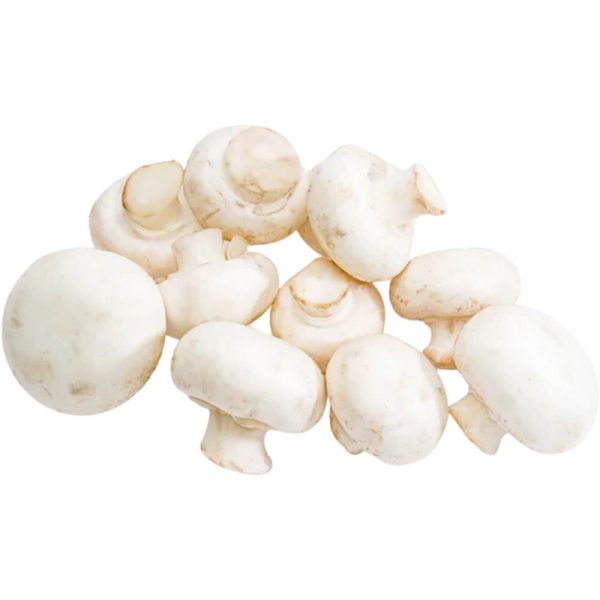 Baby White Mushroom