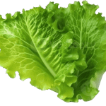 JMB Farm Fresh