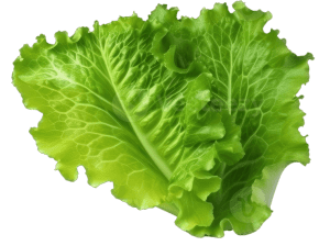JMB Farm Fresh