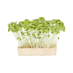 JMB Farm Fresh