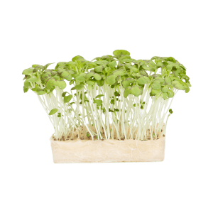 JMB Farm Fresh