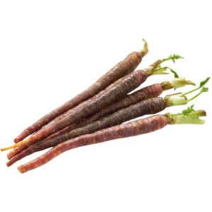 Baby Purple Carrot