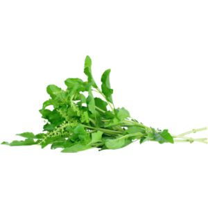 Basil Hot