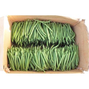 Beans Green Kenya Box