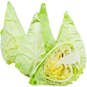 Cabbage Spring Holland