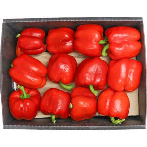 Capsicum Red Box