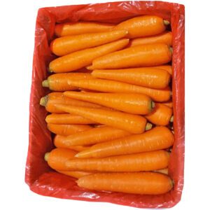 Carrot Box China
