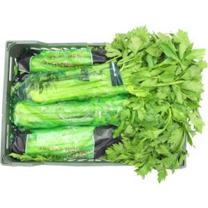 Celery Box Iran