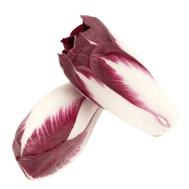 Chicory Red