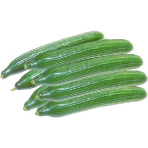 Cucumber Holland