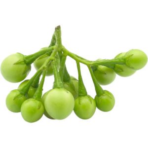 Eggplant Pea