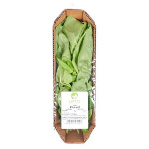 Green Basil Leaves