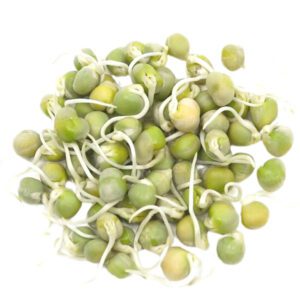 Green Pea Sprouts