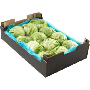 Lettuce Iceberg Box