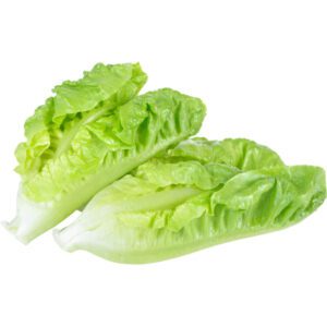 Lettuce Romaine (GCC) Sanitized