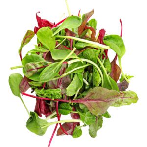 Mesclun Mix