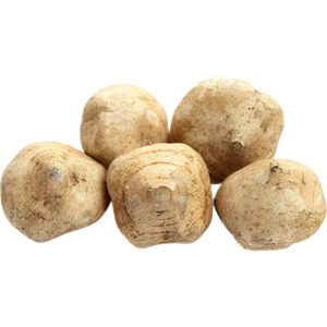 Mexican Turnip