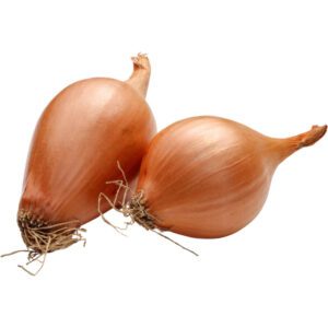 Onion Shallots