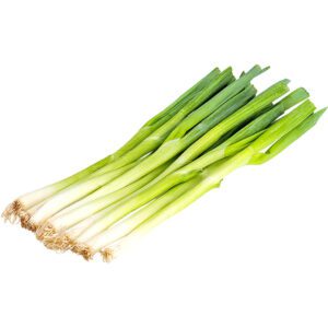Onion Spring Loose
